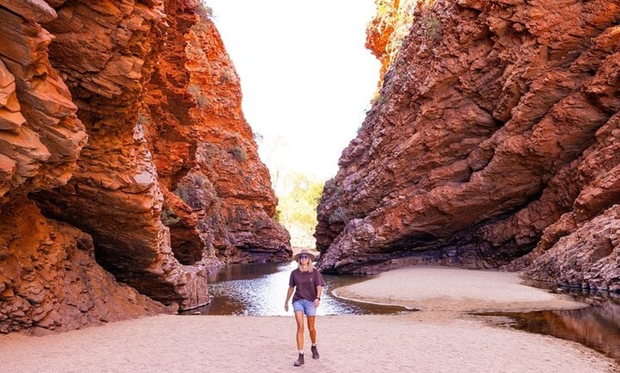 Image 3: 3-Day Kings Canyon & West MacDonnell Ranges 4WD Camping Tour