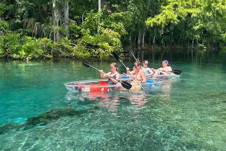 Clear Kayak or Paddleboard Manatee Adventure
