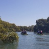 Image 1: Guided Kayak Adventure Tour