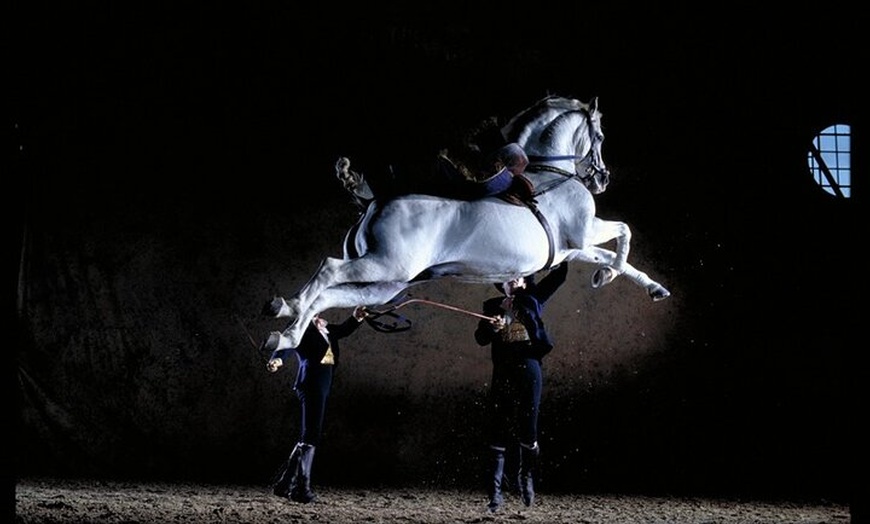 Image 5: Jerez Caballos y Bodegas Tío Pepe desde Estepona y Marbella