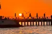 Private Full-Day Tour of Florida Keys from Miami/FLL to Key West - Second Medium