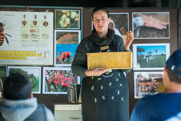 One Day Kangaroo Island Sip & See tour with return ferry transfers ...