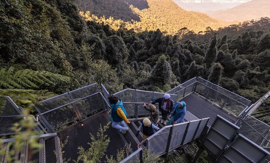 Image 7: Blue Mountains All-inclusive Tour with Scenic World & Lunch