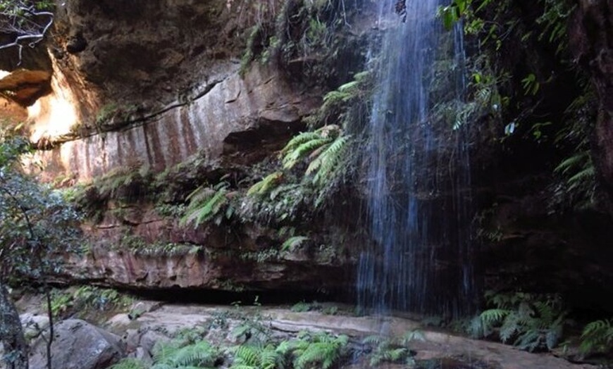 Image 14: Blue Mountains Grand Canyon Private Hike - pick up & drop off