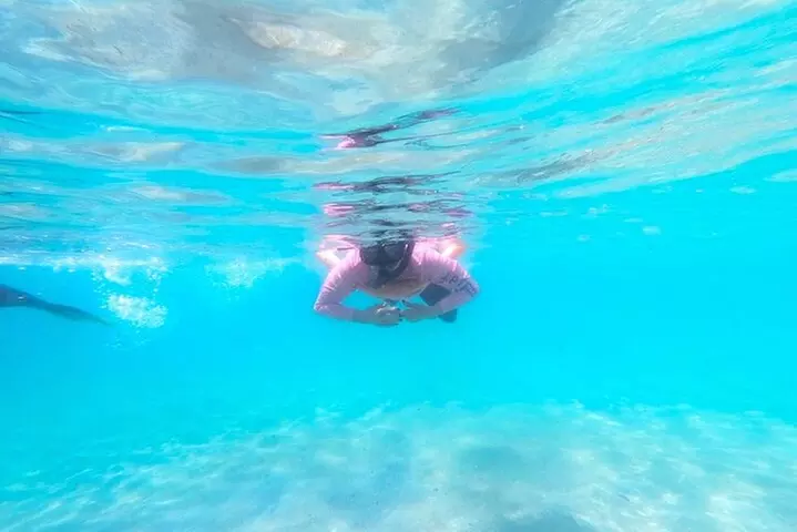2 ½ - Hour Guided Snorkel Tour of Phil Foster Park, Free Videos!