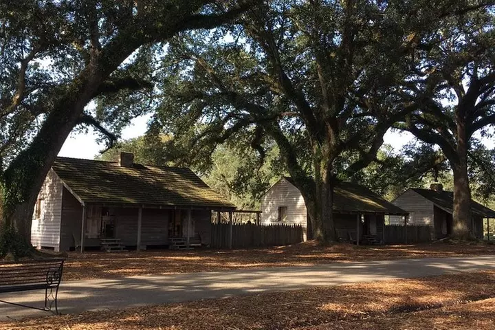 Oak Alley or Laura Plantation Tour from New Orleans
