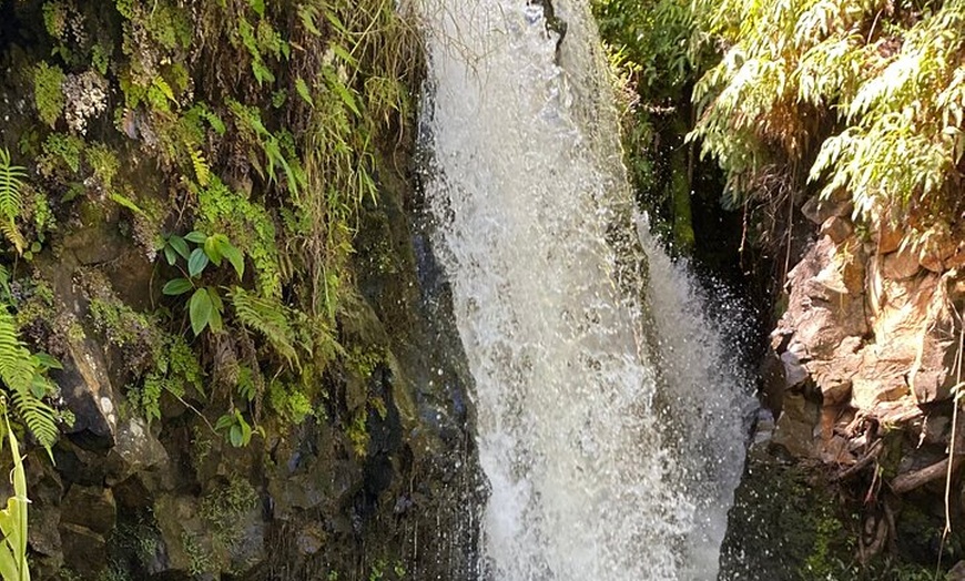 Image 4: Halfway to Hana Sightseeing Adventure