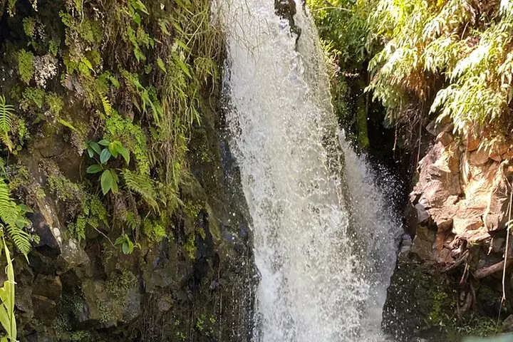 Halfway to Hana Sightseeing Adventure