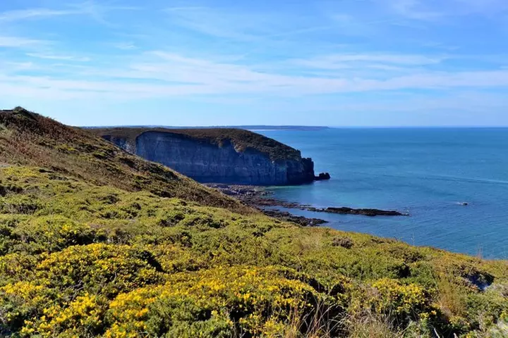 Excursion d'une journée à Étretat et Honfleur au départ de Paris Pe...