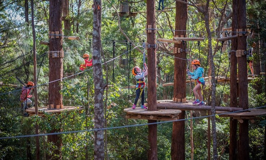 Image 14: Lane Poole Park Dwellingup - Junior Tree Ropes & Ziplining