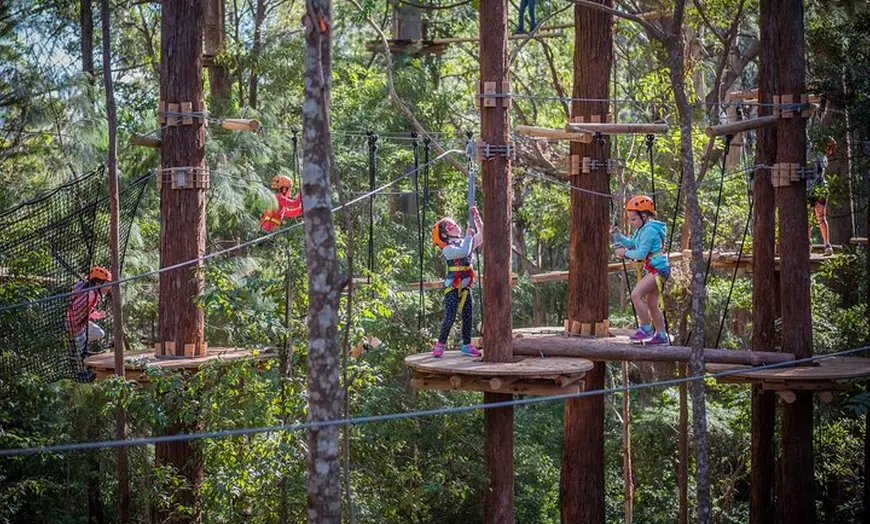 Image 14: Lane Poole Park Dwellingup - Junior Tree Ropes & Ziplining