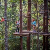 Image 14: Lane Poole Park Dwellingup - Junior Tree Ropes & Ziplining
