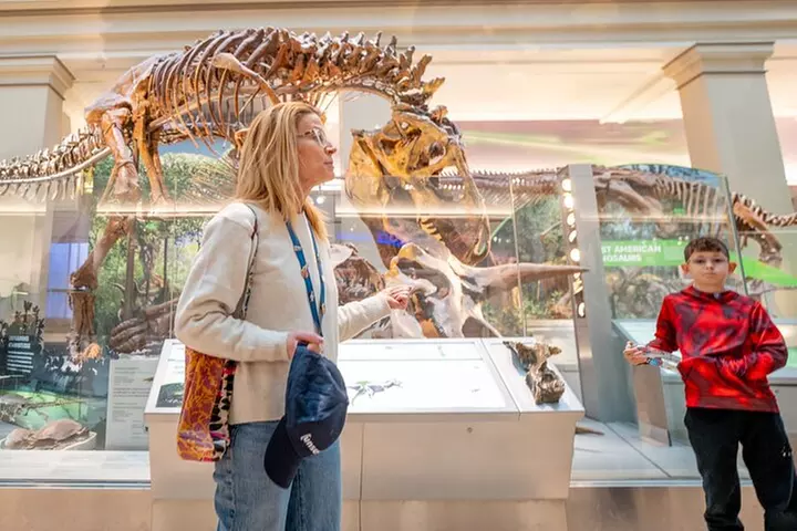 Smithsonian Highlights Walking Tour w/ Reserved Air & Space Entry