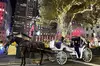 Luxury Horse and Carriage Rockefeller and Christmas lights tour