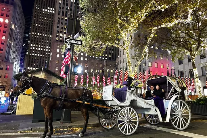 Luxury Horse and Carriage Rockefeller and Christmas lights tour