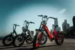 Electric Bike Rentals in Lincoln Park - Second Medium
