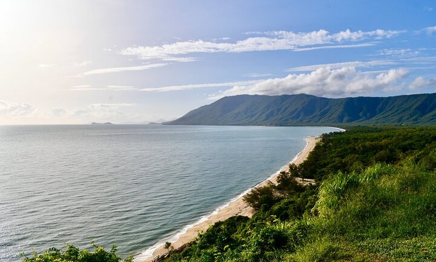 Image 11: Cape Tribulation, Mossman Gorge, and Daintree Rainforest Day Trip