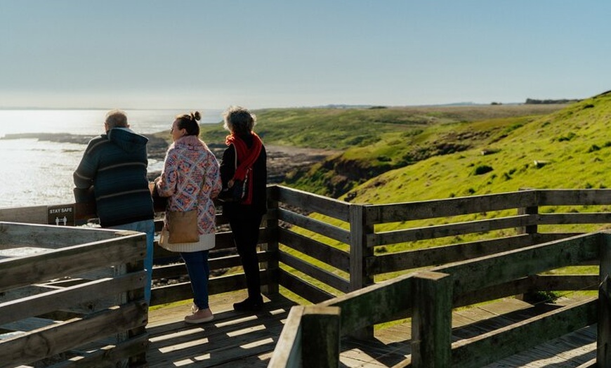 Image 6: Phillip Island and Penguin Parade Private Tour