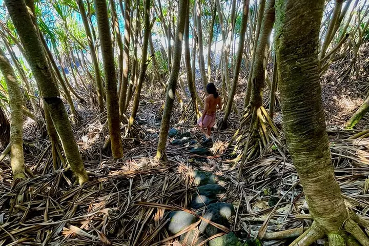Secret Tide Pool Hike - Jungle & Coast - Private