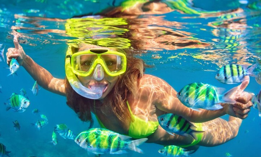 Image 3: Experiencia de crucero en barco por Barcelona y pasaporte de fiesta