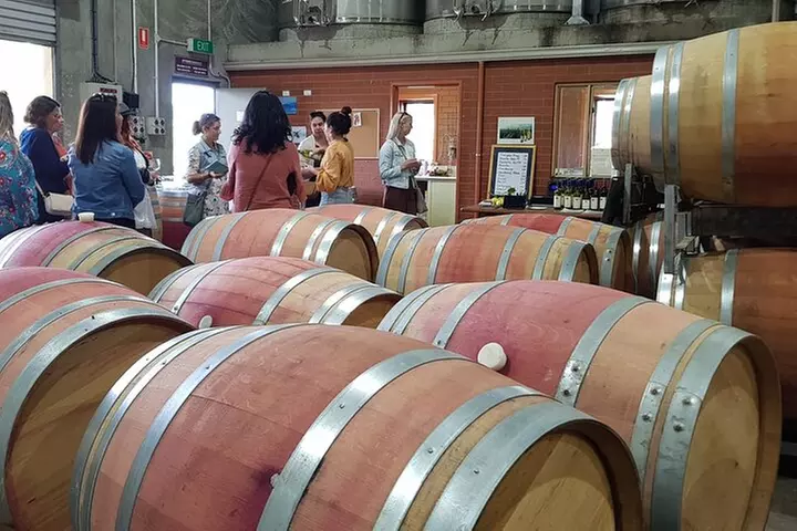 Secret Delights: Curated Wine, Coffee & Forest Experience