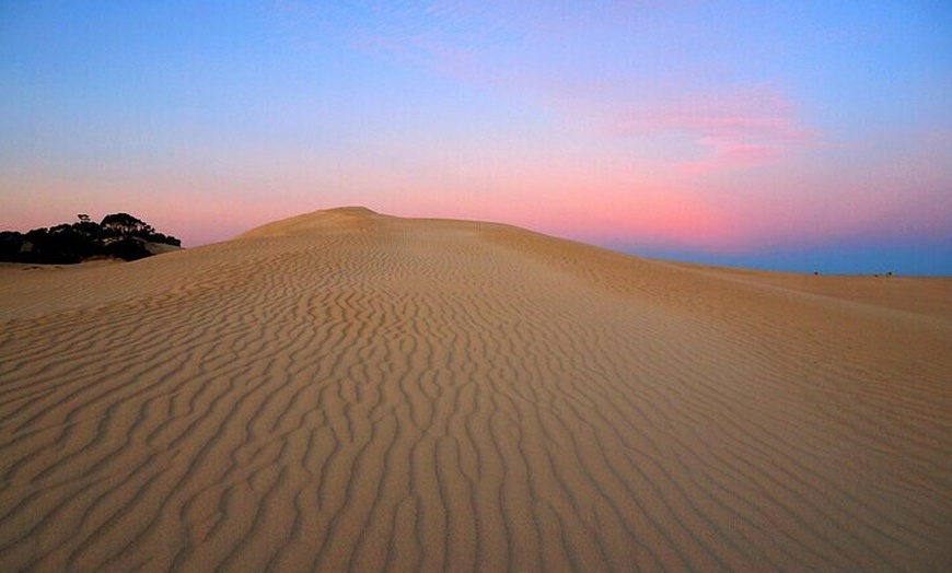 Image 1: After Hours Koala Walking Tour in Kangaroo Island