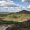 Image 6: Guided hike in Edinburgh's Pentland Hills