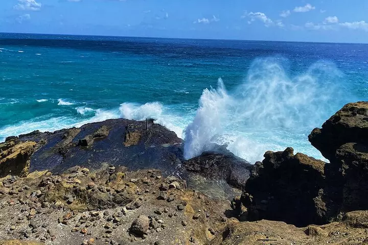 Diamond Head Hiking and Oahu Island Experience feat. North Shore