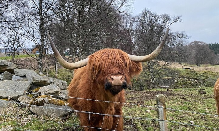Image 9: Glenfiddich Distillery Whisky Tour Speyside Inc Admission fee's