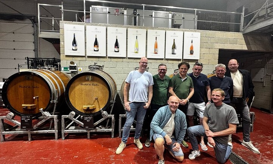 Image 3: Alicante; Recorrido Vinícola Bodega Cata Vinos, Comida y Traslado