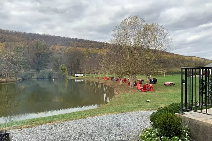 Private Loudoun County Wine Tour from DC with Stops at 3 Wineries