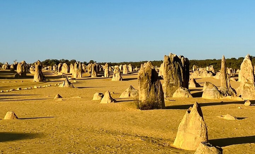 Image 13: Turquoise Coast and Pinnacles Desert, Lunch Included.