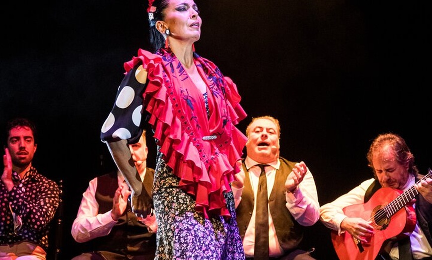 Image 10: Show Flamenco Auténtico en el Teatro Flamenco Granada