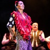 Image 10: Show Flamenco Auténtico en el Teatro Flamenco Granada