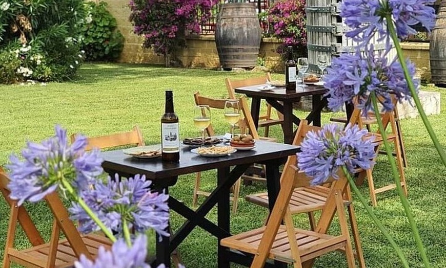 Image 6: Desde Cádiz, visita a la bodega Chiclana de la Frontera con almuerzo