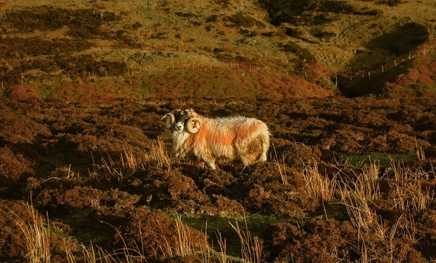 Image 7: Private 3 Day Tour to Skye Loch Ness and Glencoe from Glasgow