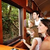 Image 3: Small Group Kuranda Tour via Kuranda Scenic Rail and Skyrail