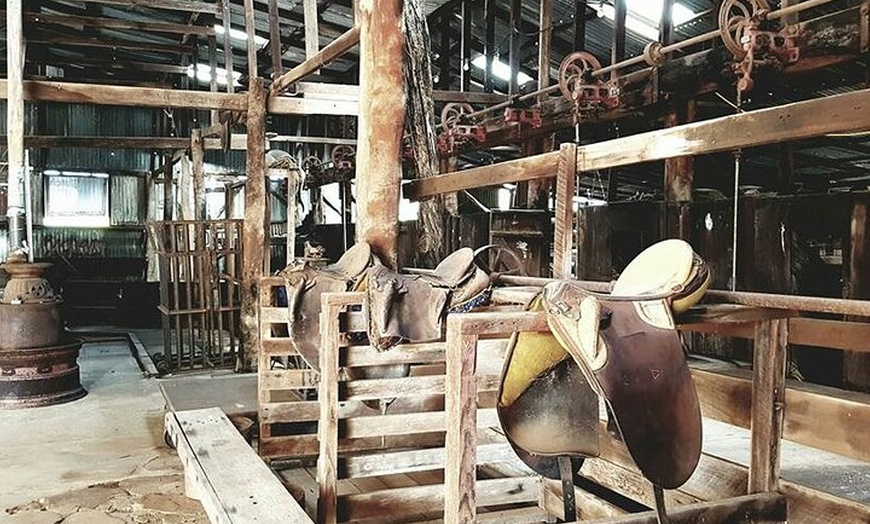 Image 3: Historic Homestead Tour with Morning Tea