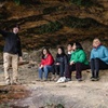 Image 20: Small Group Blue Mountains Wildlife and Bushwalk Tour From Sydney