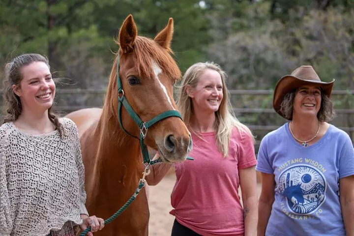 Wild Mustang Experience Near Colorado Springs