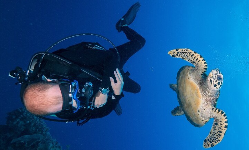 Image 12: Coral Sea Dreaming Overnight Dive, Snorkel and Sail