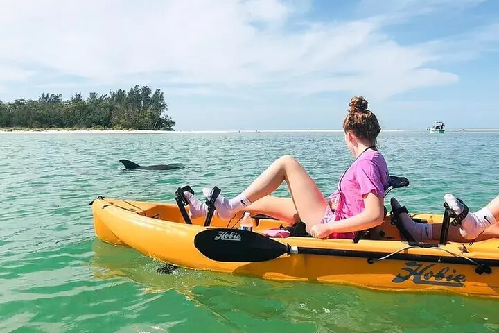 Easy Ride Pedal Kayak Tour Marco Island & Naples (Pedal or Paddle