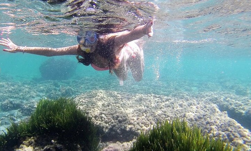 Image 5: Cabo de Gata Kayak y Snorkel en el Arrecife de las Sirenas
