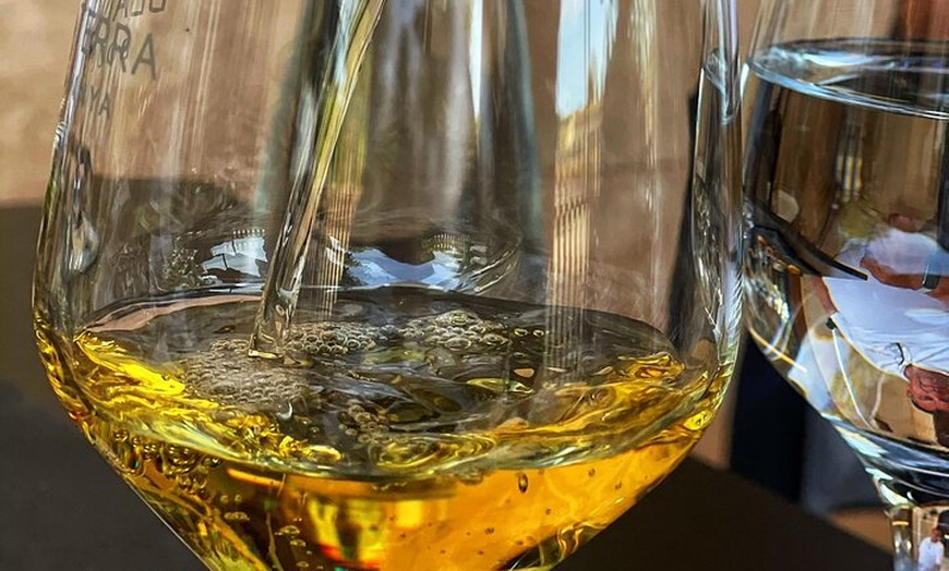 Image 9: AVENIDA WINE EXPERIENCE - Tesoros del vino local