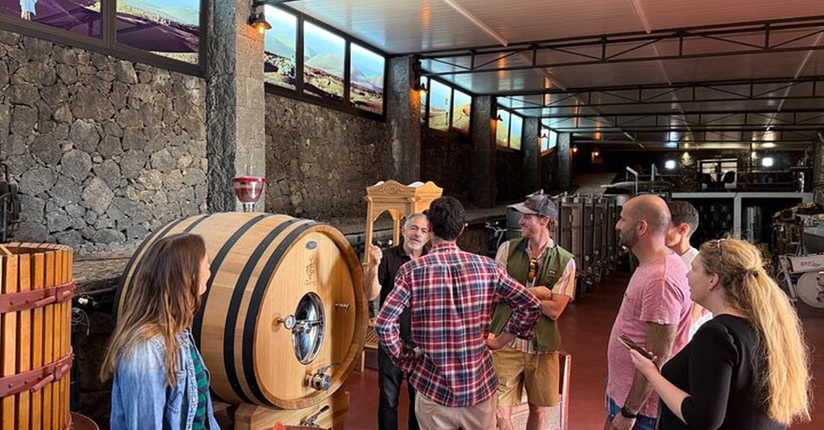 Tour de flujo de lava y cata de vinos en una bodega familiar de Lanzarote