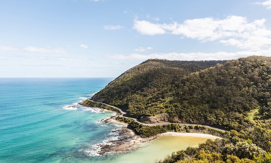 Image 8: Great Ocean Road Small Group Tour with Dingos, Sparkling & Lunch