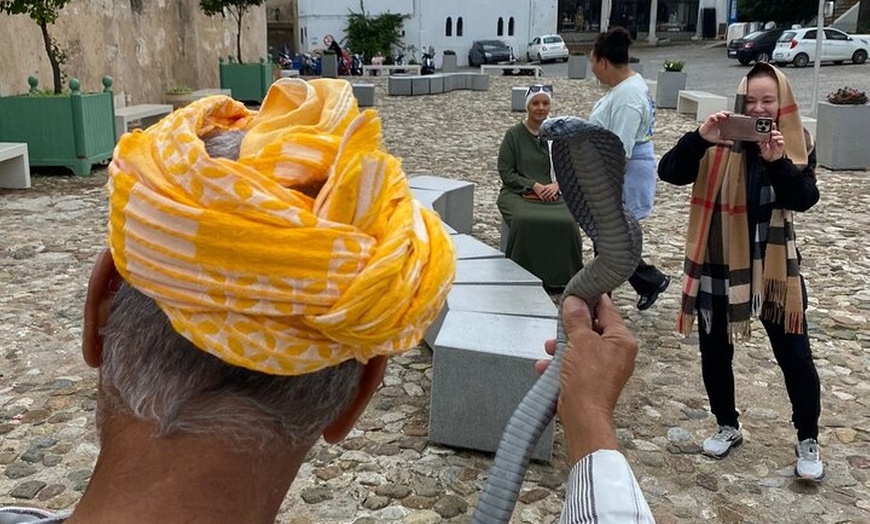 Image 5: Excursión privada de un día a Tánger desde Estepona Todo incluido vip