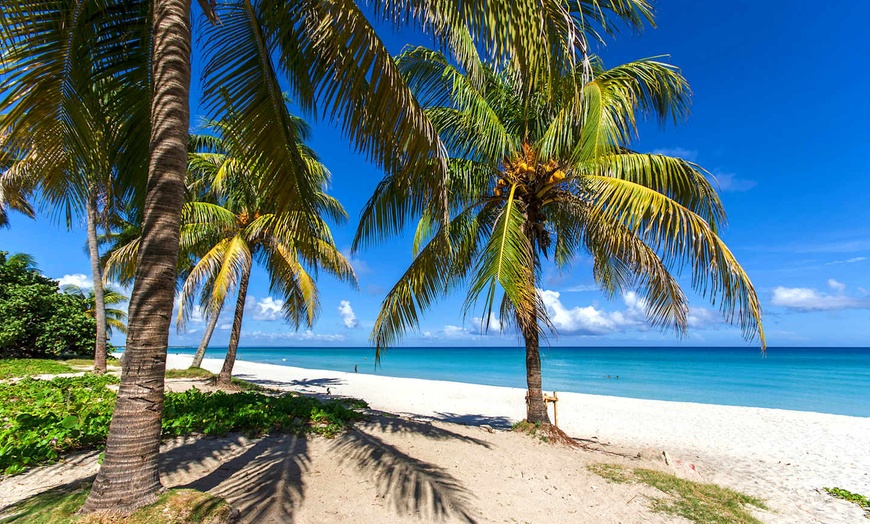 Image 26: ✈ CUBA | Varadero - Melia Las Americas Adult Only 5* - Upgrade in o...