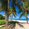 Image 26: ✈ CUBA | Varadero - Melia Las Americas Adult Only 5*, 5 notti - All...