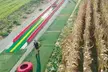 $48 For 4 Admissions To Maize Quest Corn Maze & Fun Park Ultimate Access Tickets (Reg.$96)
Valid Until Nov 2, 2025 - Second Medium